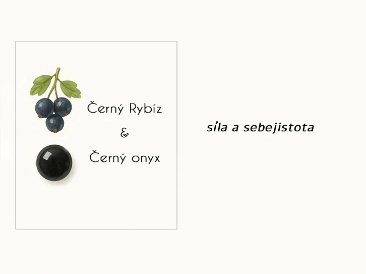 Zlatý prsten s černým onyxem Berry